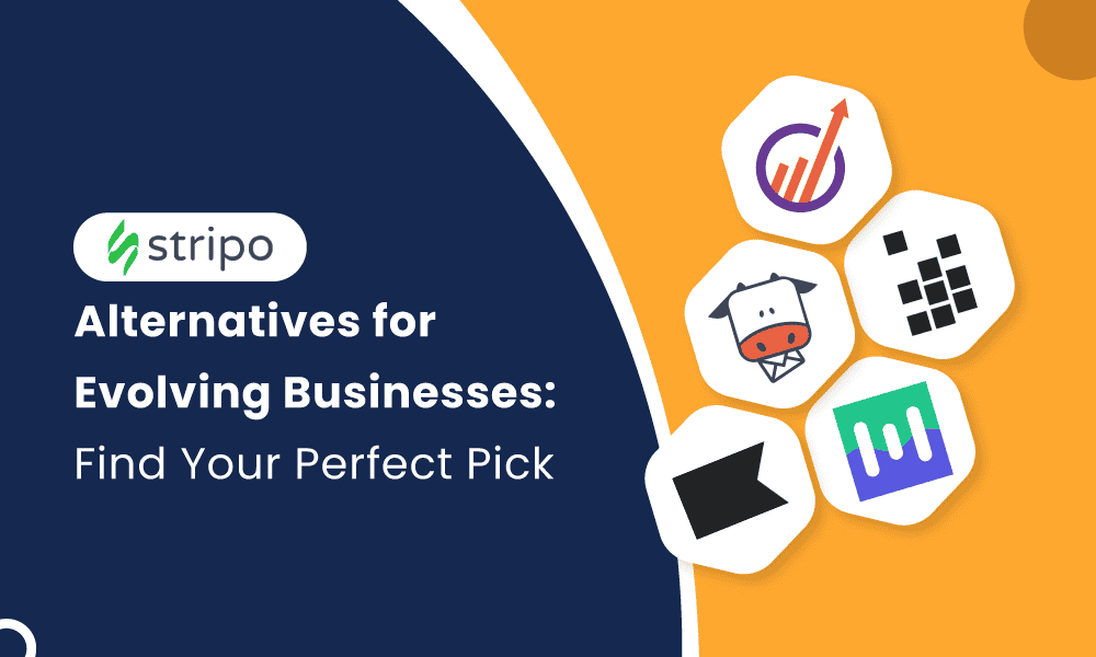 Stripo Alternatives for Evolving Businesses: Find Your Perfect Email Template Builder
