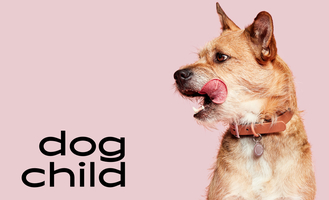 Today in brief: New entrant in DTC dog food; Finix announce $30M in funding | BANKNOTES