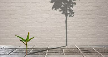 For Outstanding Buyer Experiences, Think Big but Start Small