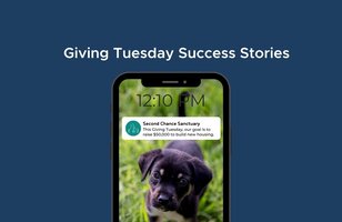 "Text Fundraising Success Stories: Nonprofits' Giving Tuesday Triumphs"