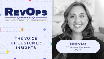 The Voice of Customer Insights