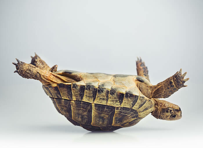 Why Aren't My Google Ads Converting? 10 Reasons (& Solutions!)