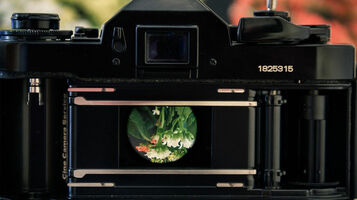 Stellar photos help you sell more in your online store