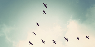 Get Teams On Message Faster With Modern Sales Training