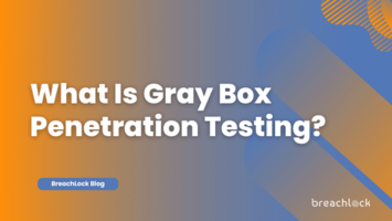 What Is Gray Box Penetration Testing?