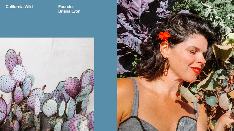 Meet the artist-turned-entrepreneur boosting website traffic by 24% with video