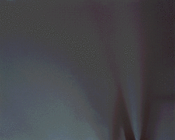 How Beefy Marketing Uses Automation to Stay Efficient