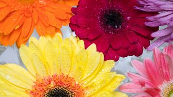 How to prepare your online store for Mother's Day sales