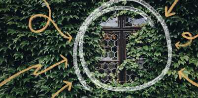 The power of a niche: How Monica Lent built a thriving paid community for developers