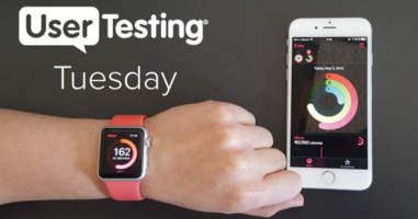 Exploring the User Experience of the Apple Watch