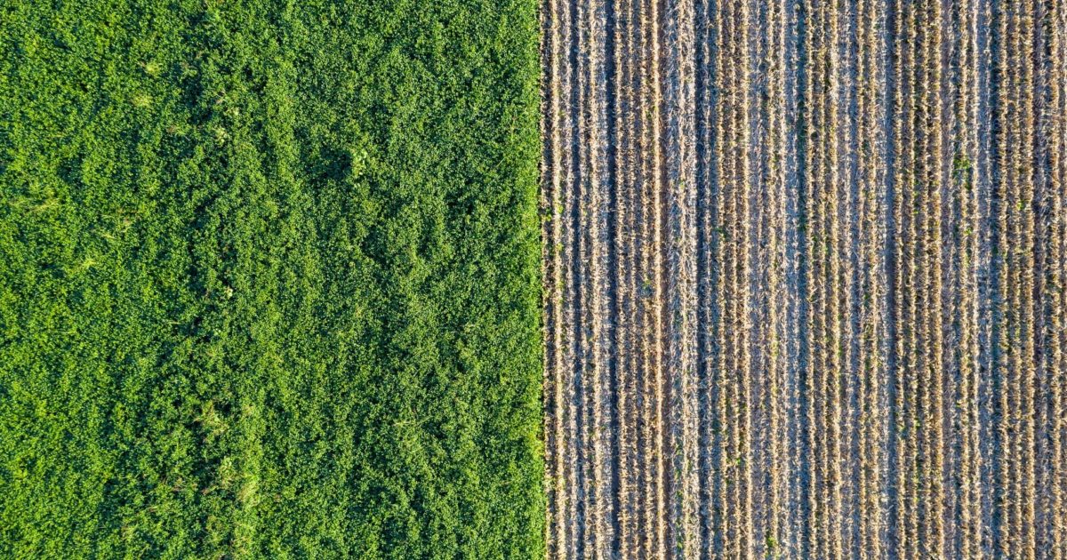 Sales Enablement vs. Sales Engagement: Which Should You Choose? |...