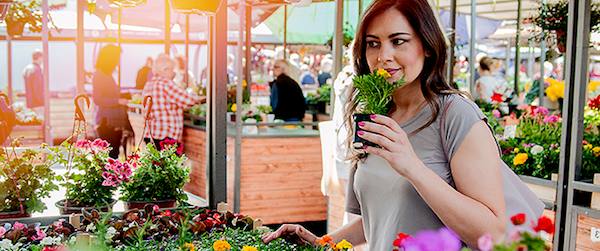 Leverage key events for retail advertising • StackAdapt Blog