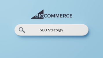 BigCommerce SEO Strategy: Product Info & Digital Assets