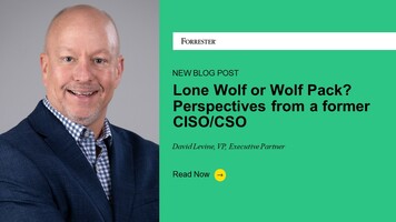 Harnessing CISO Collective Power