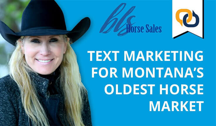 How SMS Marketing Revolutionized Montana's Oldest Horse Market