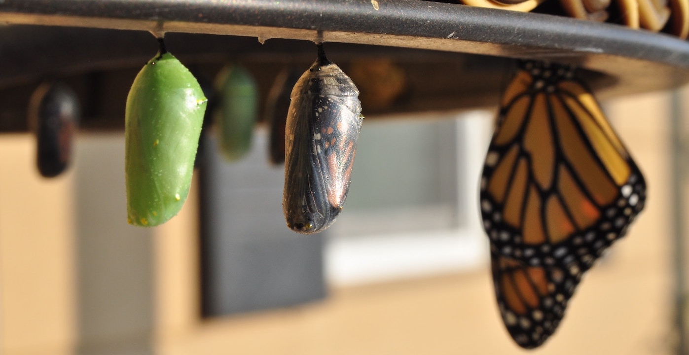 How to turn a Great Rep Into a Sales Leader