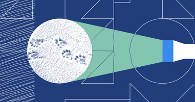 Why every marketing agency needs Call Tracking and Form Tracking