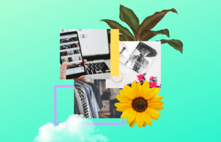 Trends from the Frontlines of eCommerce - MagicLinks Blog