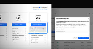 Simplify client management with client payments | Webflow Blog