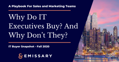Why Do IT Executives Buy? IT Manager Persona and Buyer Snapshot, Fall 2020