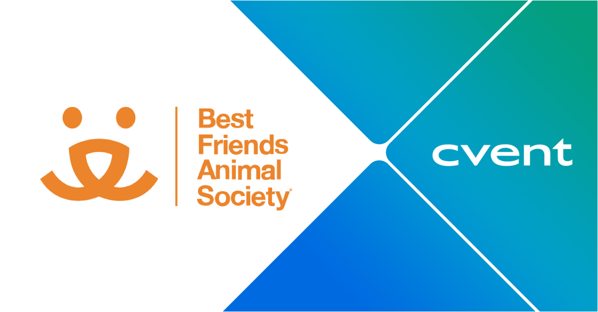 Achieving positive impact in the animal welfare industry through the power of events 