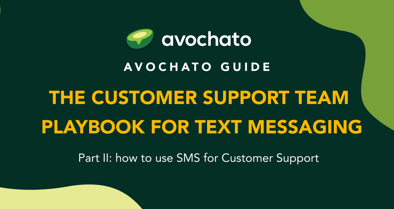 The Marketing Team's Text Messaging Playbook - part II | Avochato
