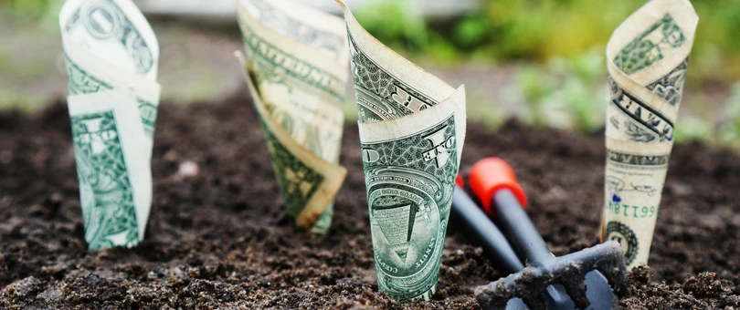 19 Growth and CRO Experts on Increasing Revenue Without Increasing Traffic