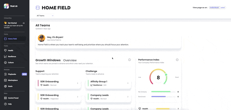 Grow faster with LEON Challenge Playbooks