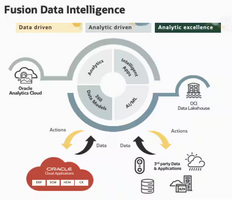Prepare Custom Hostnames for Oracle Fusion Analytics Service Private Access