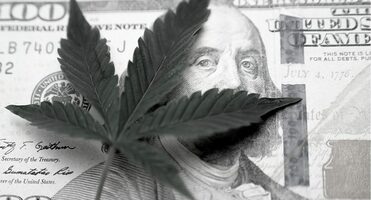 12 Cannabis Venture Capital Investors to Know