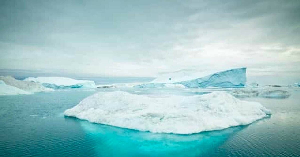 How to improve CRM user adoption with a sales execution platform