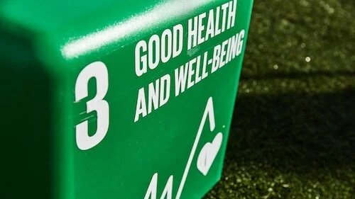 How We're Committing To the 2019 Sustainable Development Goals