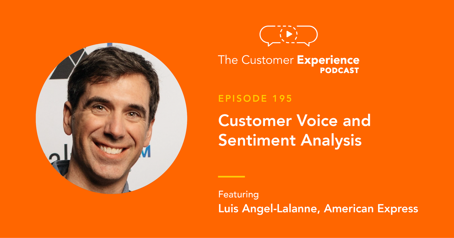 Customer Voice and Sentiment Analysis