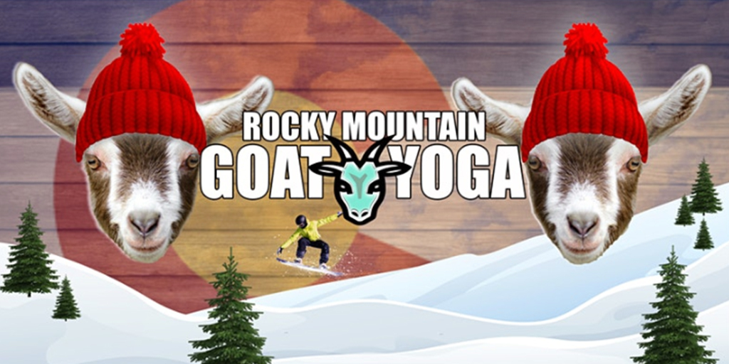 How a Teacher's Side Hustle Grew Into a Goat Yoga Phenomenon