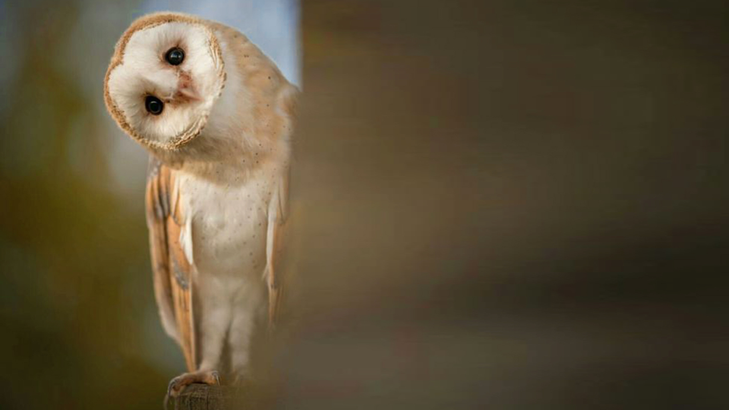 5 ways to improve email subject lines • VBOUT