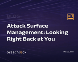 Attack Surface Management: Looking Right Back at You