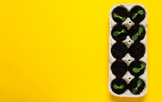 Top Use Cases: Conversationally Nurture Inbound Leads