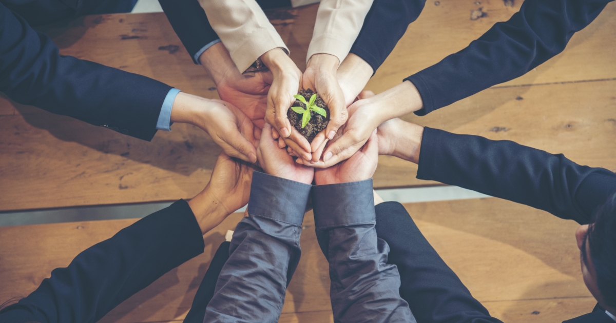 Why organisations shouldn't rush their sustainbility efforts