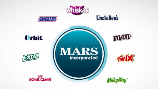 How Mars Consolidated its Data to Fuel the Digital Shelf