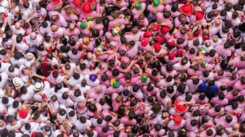 The 8 best WordPress plugins for email subscriptions