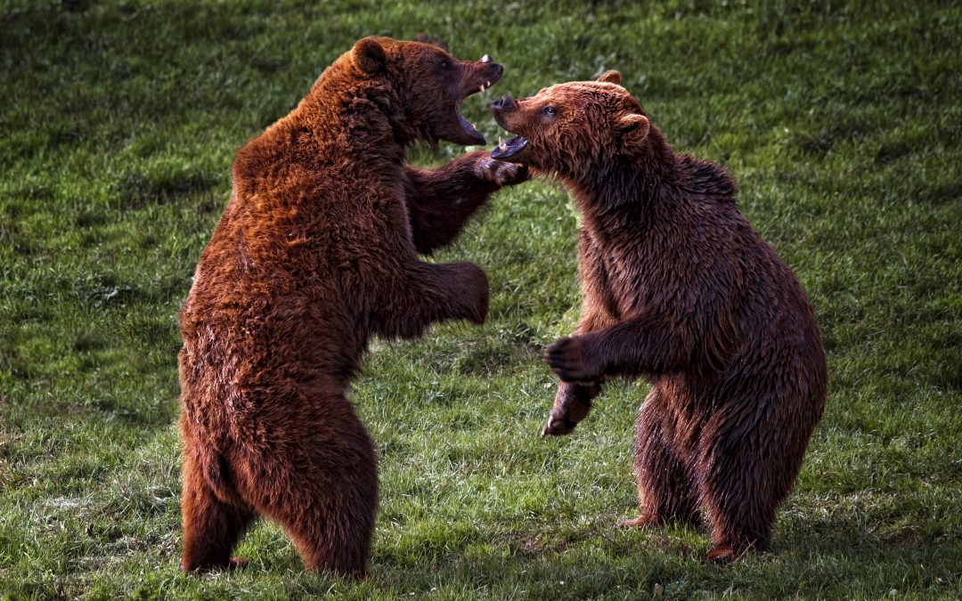 The Flaws With A Me First Mentality in Sales