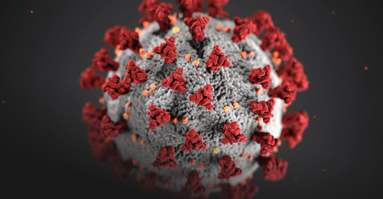 COVID-19 effect on sales 