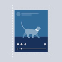 Instagram Video Sizes, Dimensions, and Formats for 2022