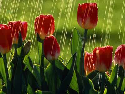 BLASTmedia showers their clients with coverage