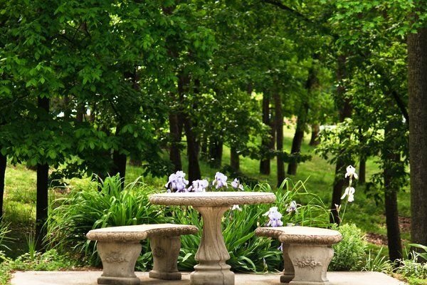 The Science of Breaks at Work: Change Your Thinking About Downtime