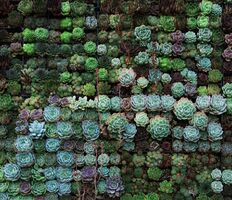 40 Lessons From 4 Years of Remote Work