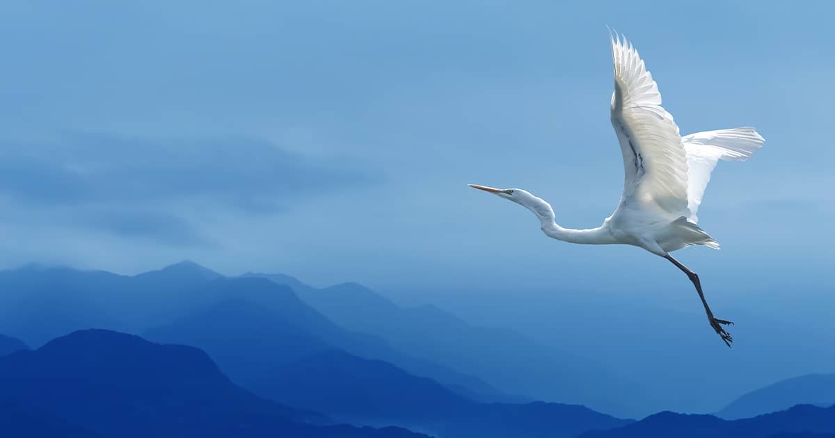 Start Early for a Successful AEMaaCS Migration