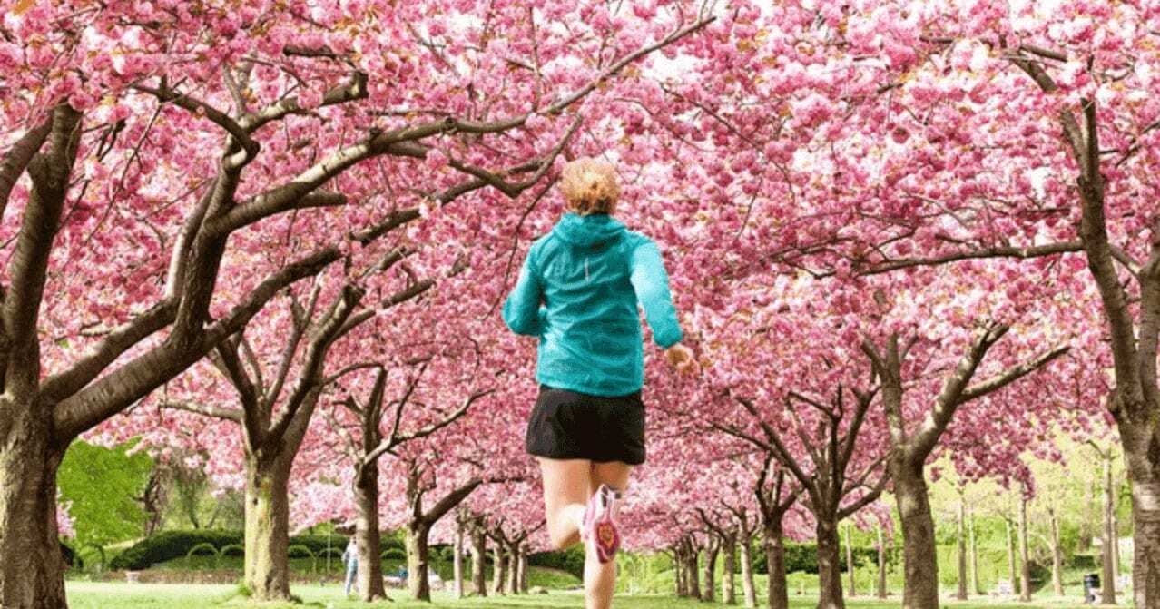 Nike's Secret to Success on Instagram: Building an Engaged Community