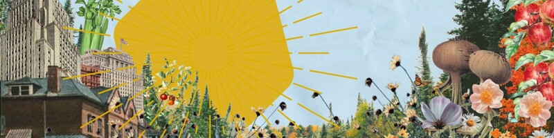 5 Innovative Organizations That Are Crushing Mobile SMS Marketing