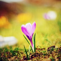 Back to basics: Lead generation 101 